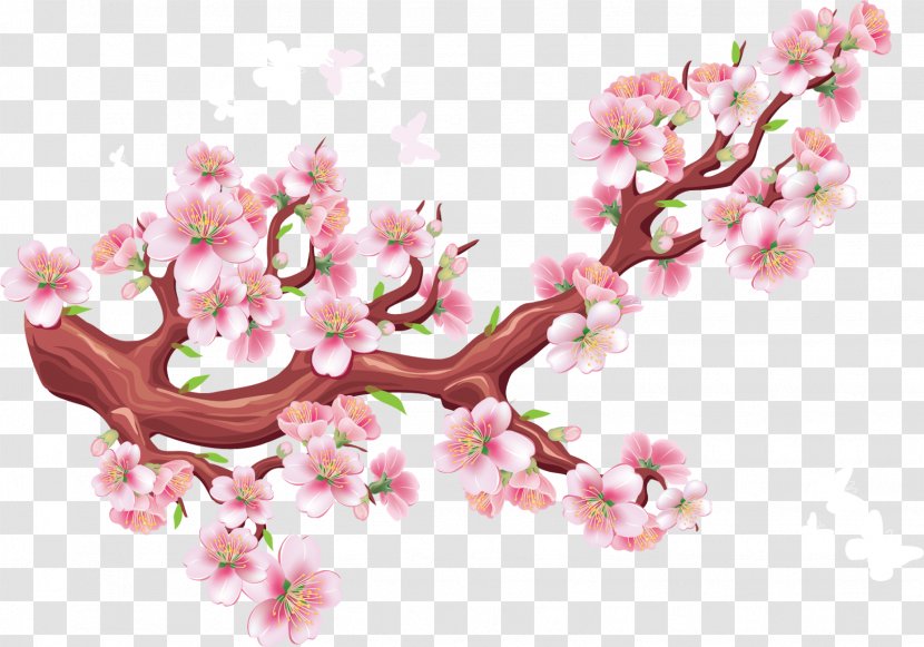 Cherry Blossom Bird Flower - Plant - Branch Transparent PNG