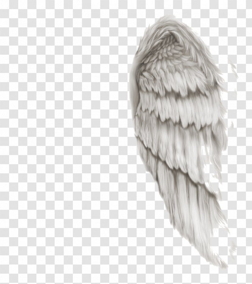 Raster Graphics Editor Download Clip Art - Demon - Angel Wings Transparent PNG