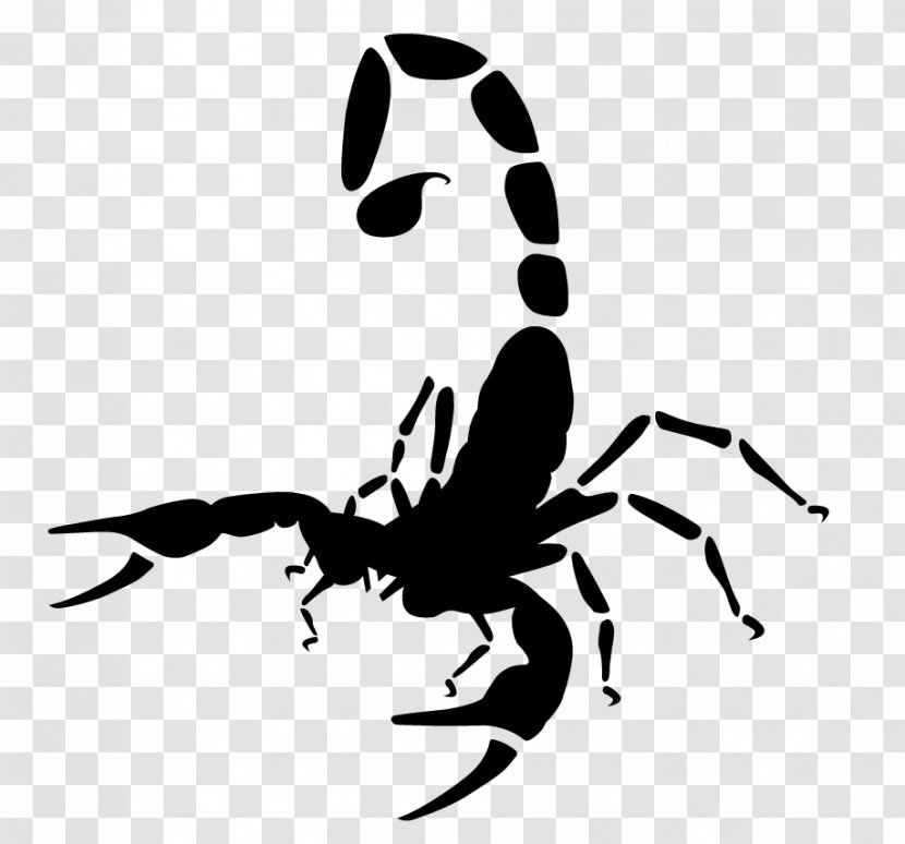 Nike Just Do It Logo - Invertebrate - Parasite Spider Transparent PNG