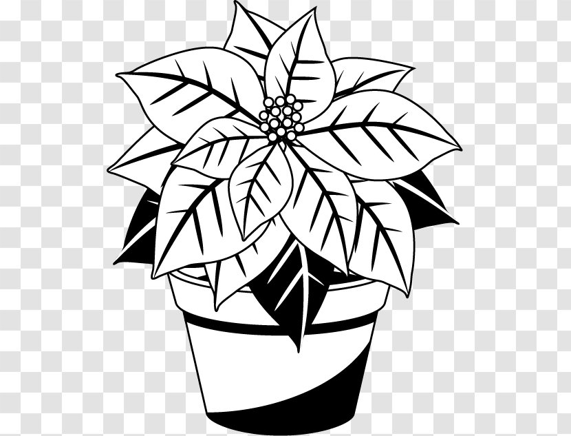 Poinsettia Christmas Black And White Red Clip Art - Color Transparent PNG