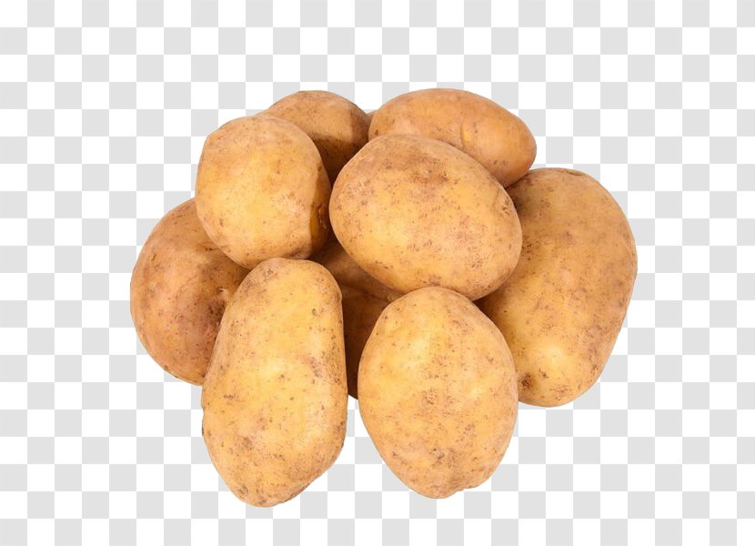 Russet Burbank Potato Irish Candy Yukon Gold Sweet Tuber - Food - Padaria Transparent PNG