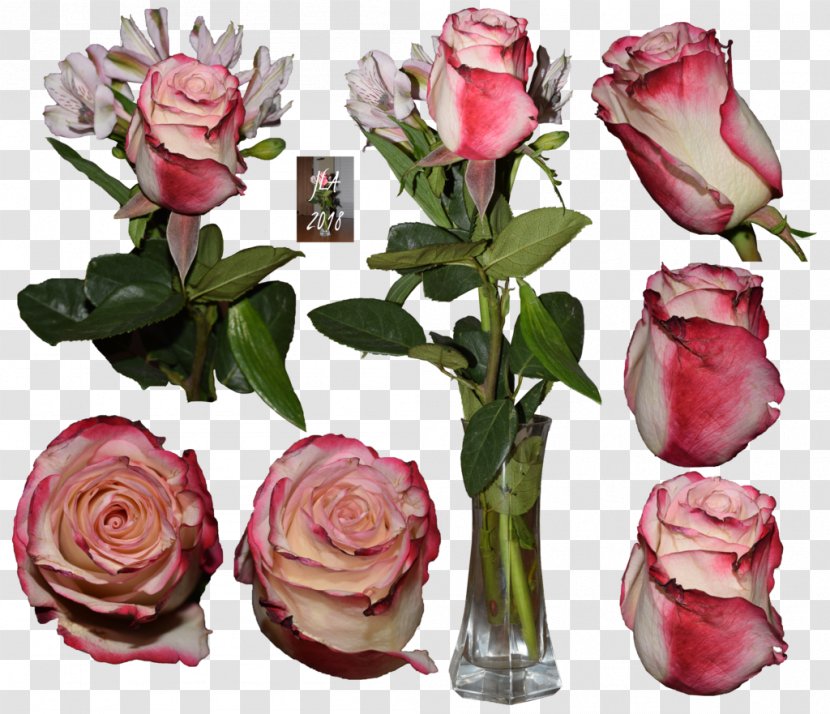 Cut Flowers Floral Design Garden Roses Art - Rose Order - Birthday Transparent PNG