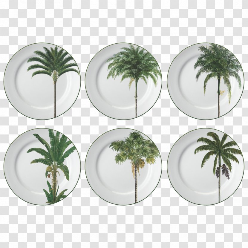 Plate Porcelana Schmidt S.A. Porcelain Stoneware Meal - Dishware Transparent PNG