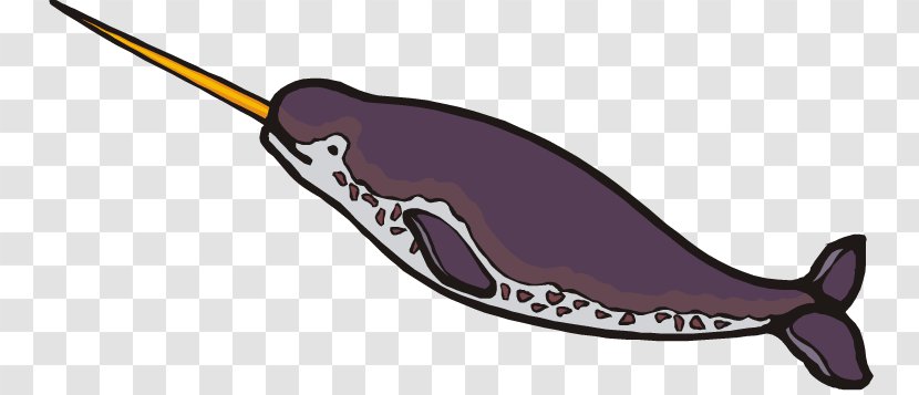 Narwhal Toothed Whale Clip Art - Beluga - Baby Cliparts Transparent PNG