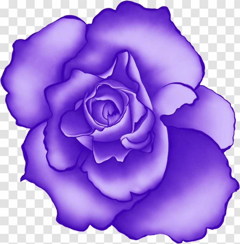 Beach Rose Flower Blue Rosaceae - Cobalt - Lilac Transparent PNG