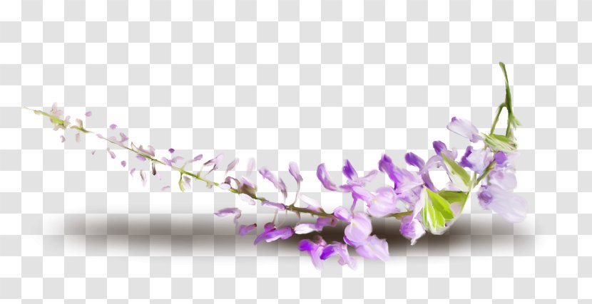 Flower Petal Desktop Wallpaper Filename Extension Transparent PNG