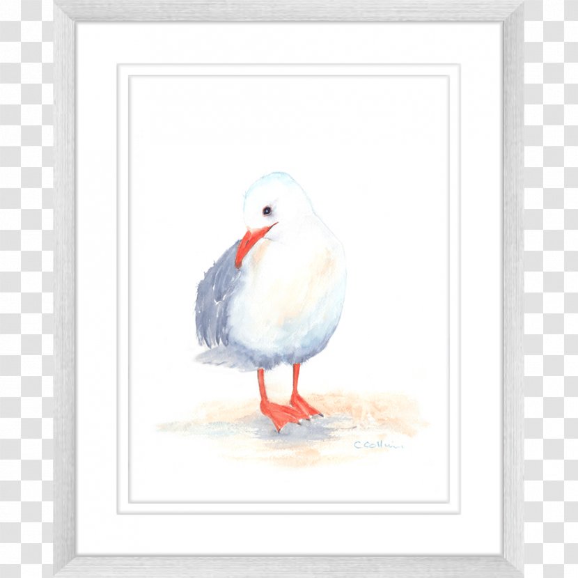 Duck Gulls Seabird Fauna Watercolor Painting Transparent PNG