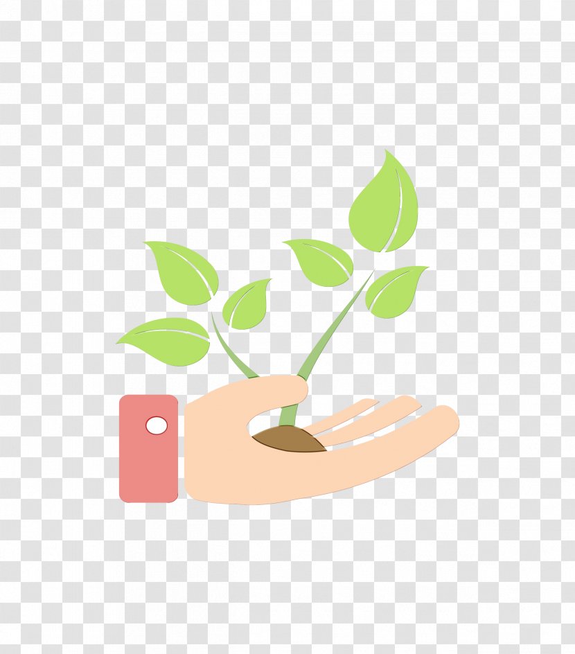 Leaf Logo - Plant Stem - Houseplant Transparent PNG