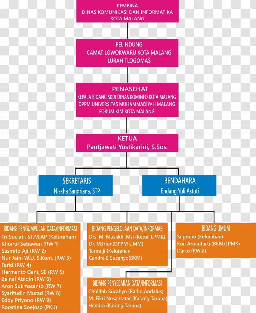 Organizational Structure Business Chart Transparent PNG