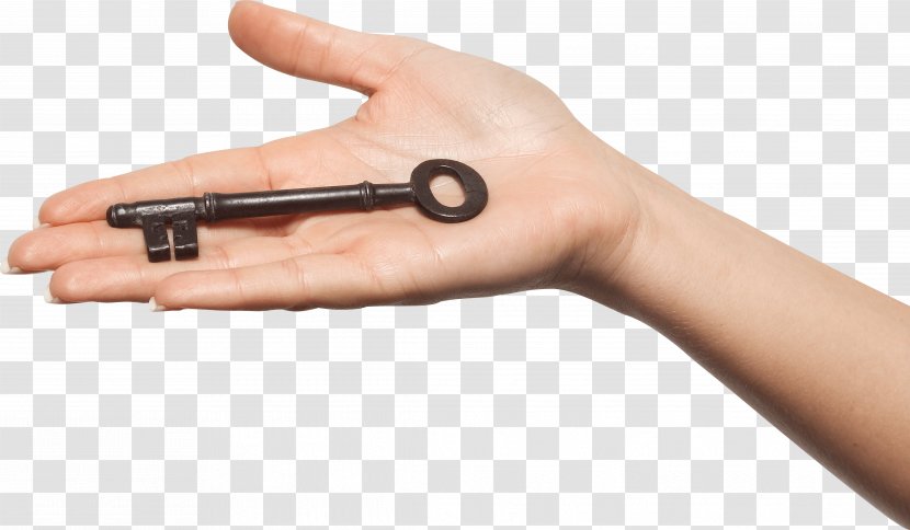 Hand Key Clip Art - Model - Hands Image Transparent PNG