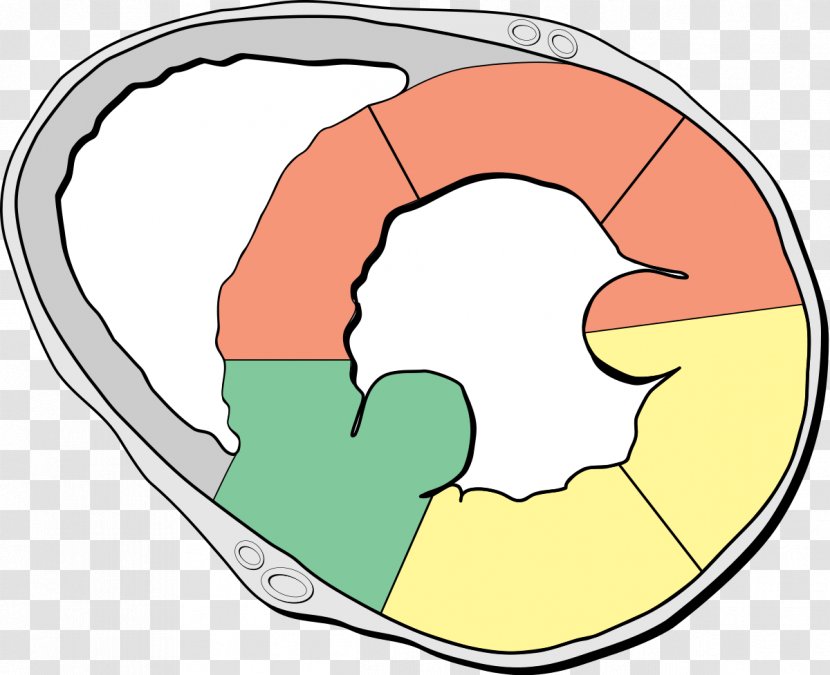 Wikipedia Heart Wikimedia Commons Foundation History - Shorts Transparent PNG