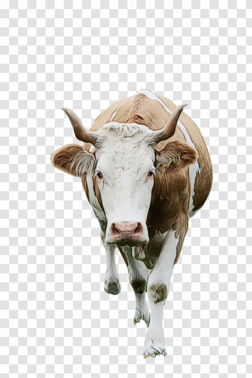 Texas Longhorn Dairy Cattle Ox Goat Horn Transparent PNG