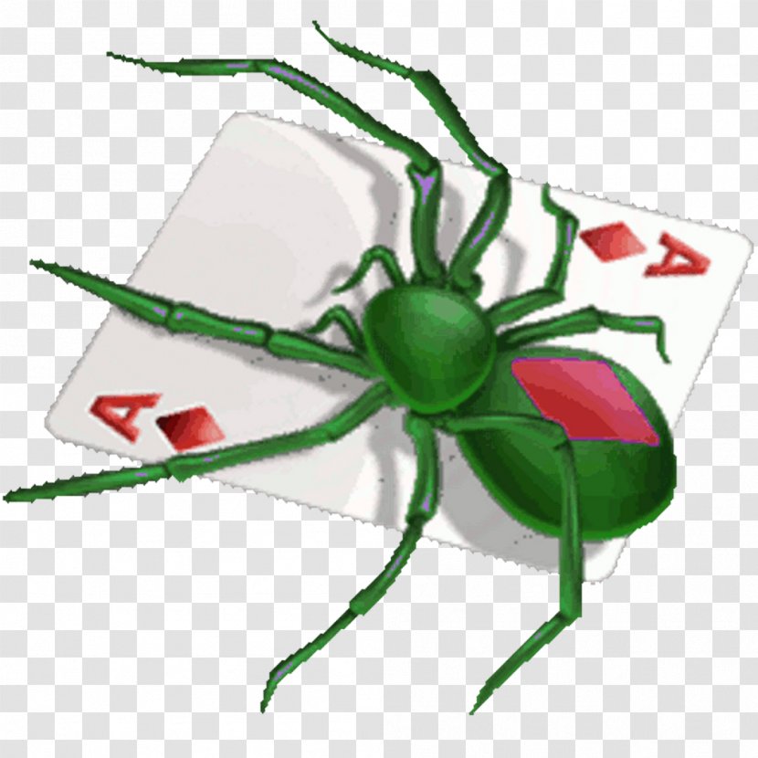 Microsoft Spider Solitaire Free Patience - Klondike Transparent PNG