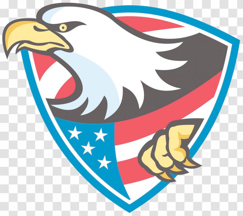 United States Bald Eagle Illustration - The Shield Transparent PNG