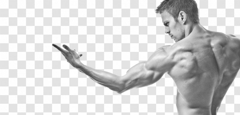 Men's Fitness Physical Muscle & Bodybuilding Desktop Wallpaper - Watercolor Transparent PNG