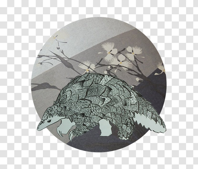 Turtle - Reptile Transparent PNG