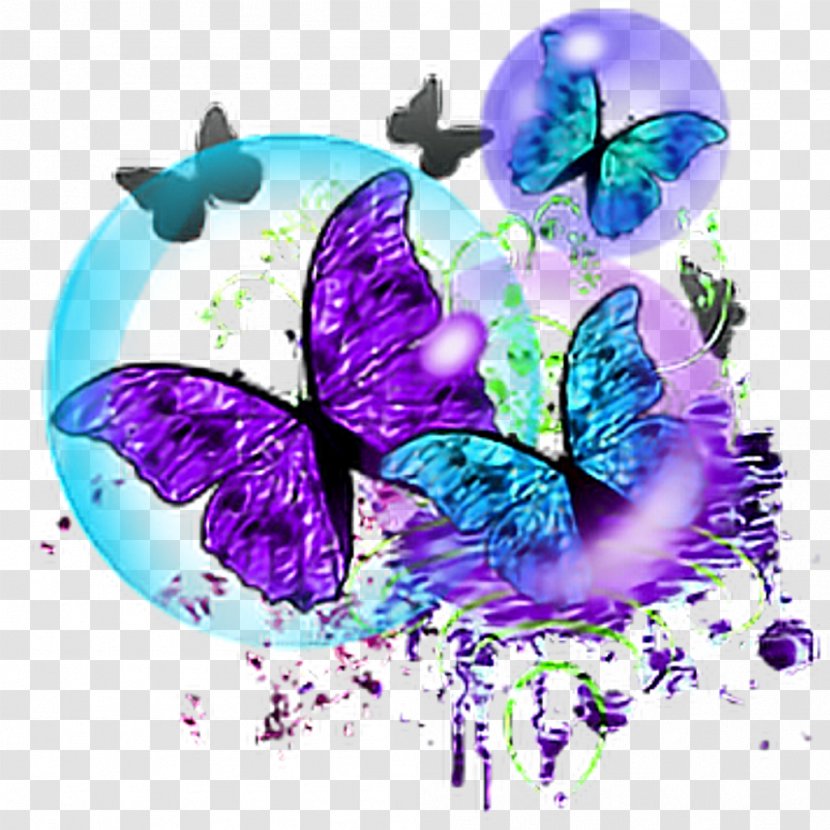 Butterfly T-shirt Douchegordijn Curtain Bubble Butterflies - Violet - Colorful Machine Transparent PNG