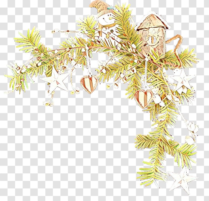 Tree Plant Branch Oregon Pine American Larch - White Family Transparent PNG