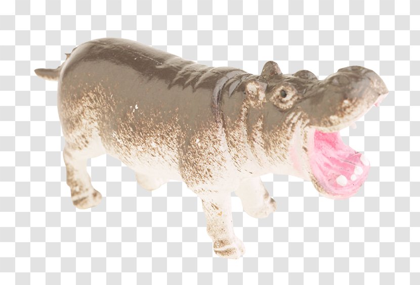 Hippopotamus Cattle Nissan - Terrestrial Animal - Cat Transparent PNG
