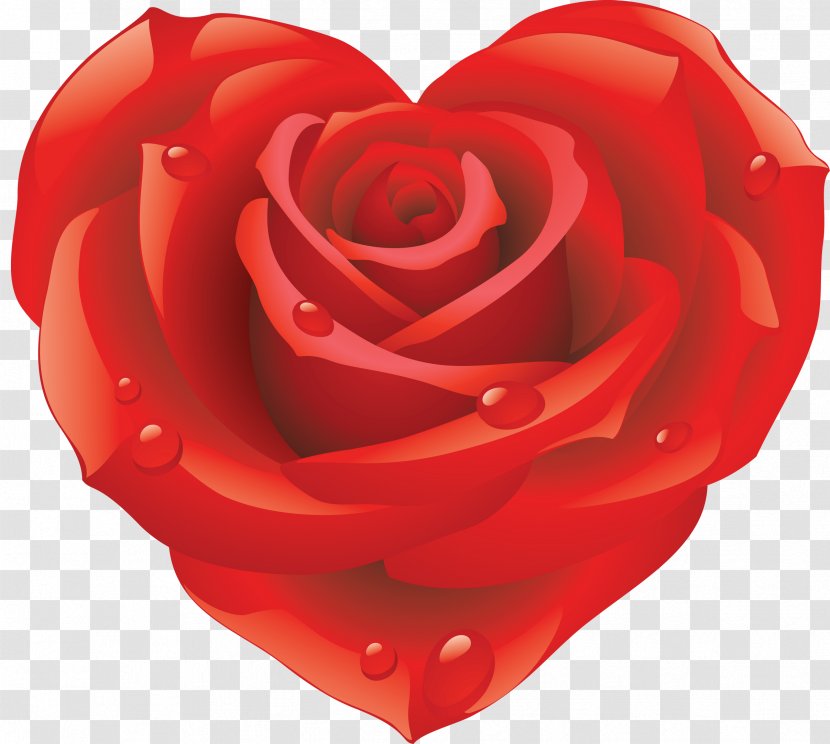 Rose Clip Art Desktop Wallpaper Image - Flower Transparent PNG