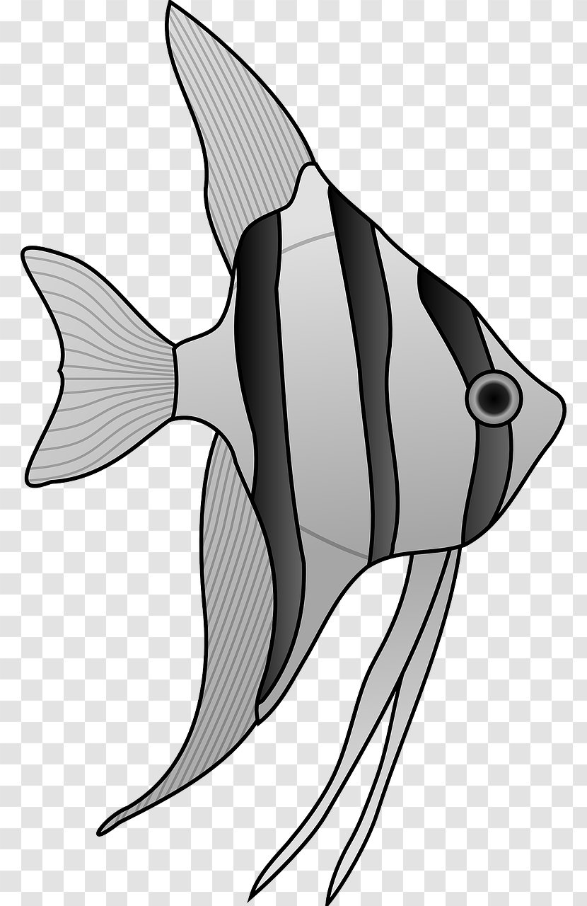 Pterophyllum Altum Fish Cartoon Drawing Clip Art - Black And White - Gray Transparent PNG