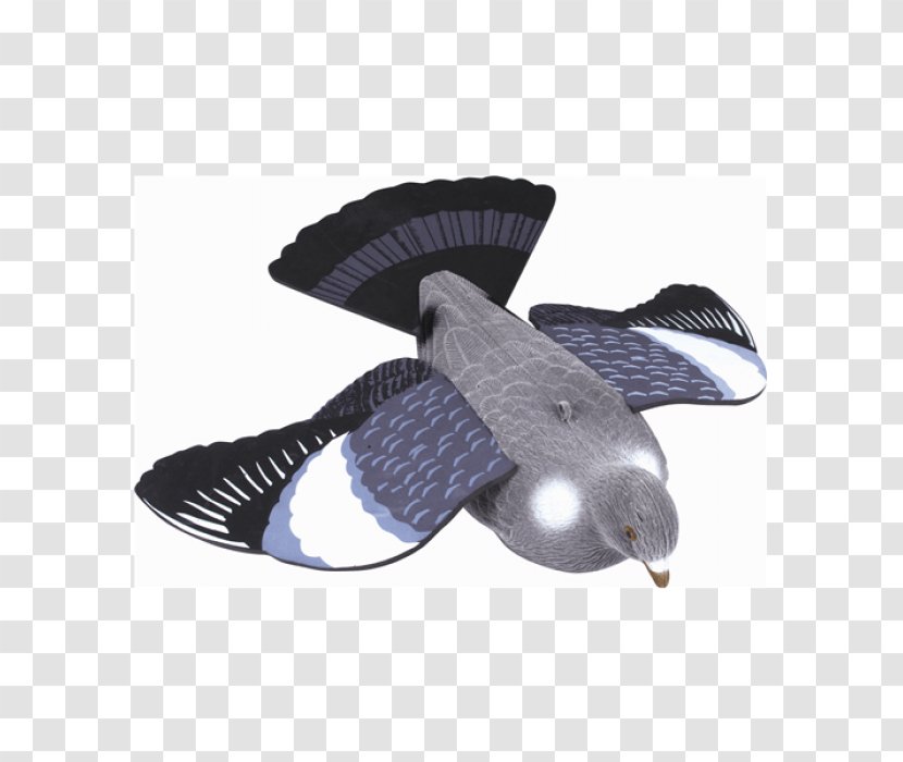 Columbidae Duck Decoy Mallard Hunting - Craft Magnets - Flying Pigeon Transparent PNG