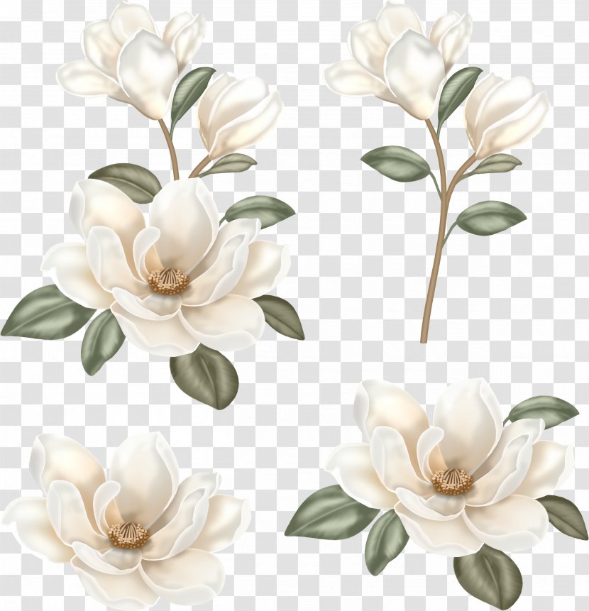 Flower Floral Design Clip Art - Boho Flowers Transparent PNG