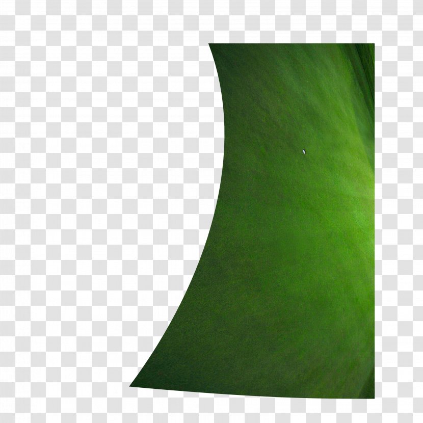 Green Leaf - Lawn Grass Transparent PNG
