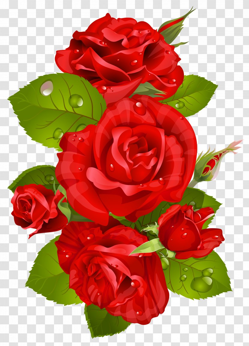 Rose Flower Pink Clip Art - Garden Roses - Red Transparent PNG