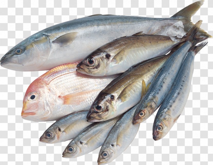 Saltwater Fish Freshwater Clip Art - Seafood Transparent PNG