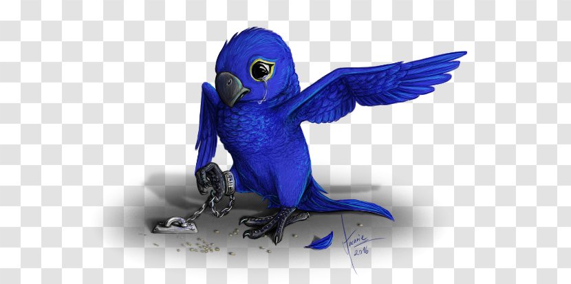 Macaw Parakeet Feather Beak Cobalt Blue - Perico - Sad Puppies In Cages Transparent PNG