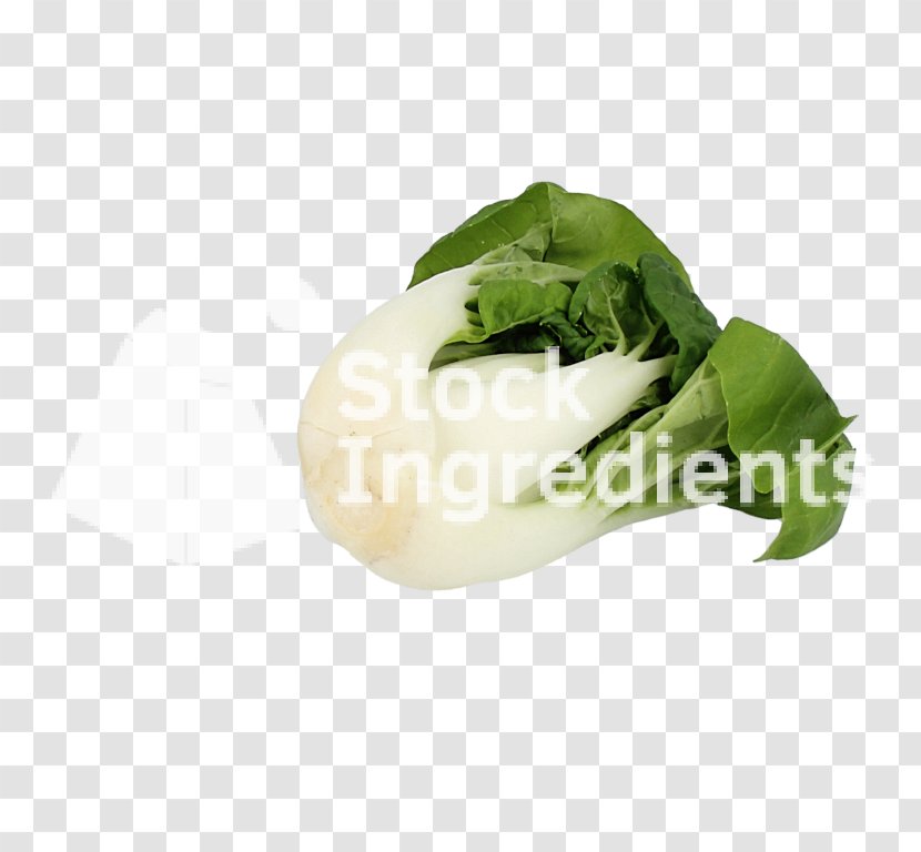 Vegetable - Bok Choy Transparent PNG