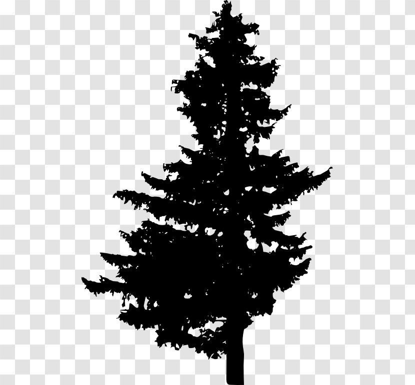 Pine Spruce Fir Christmas Tree Transparent PNG