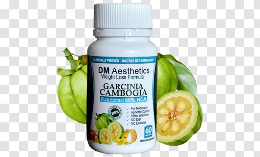 Garcinia Cambogia Aesthetics Weight Loss Extract Hydroxycitric Acid - Diet Transparent PNG