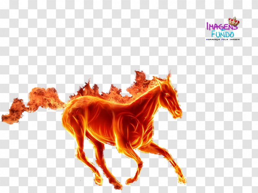 Horse Paper Pegasus Sticker Wallpaper - Stallion - Shrek Fiona Transparent PNG