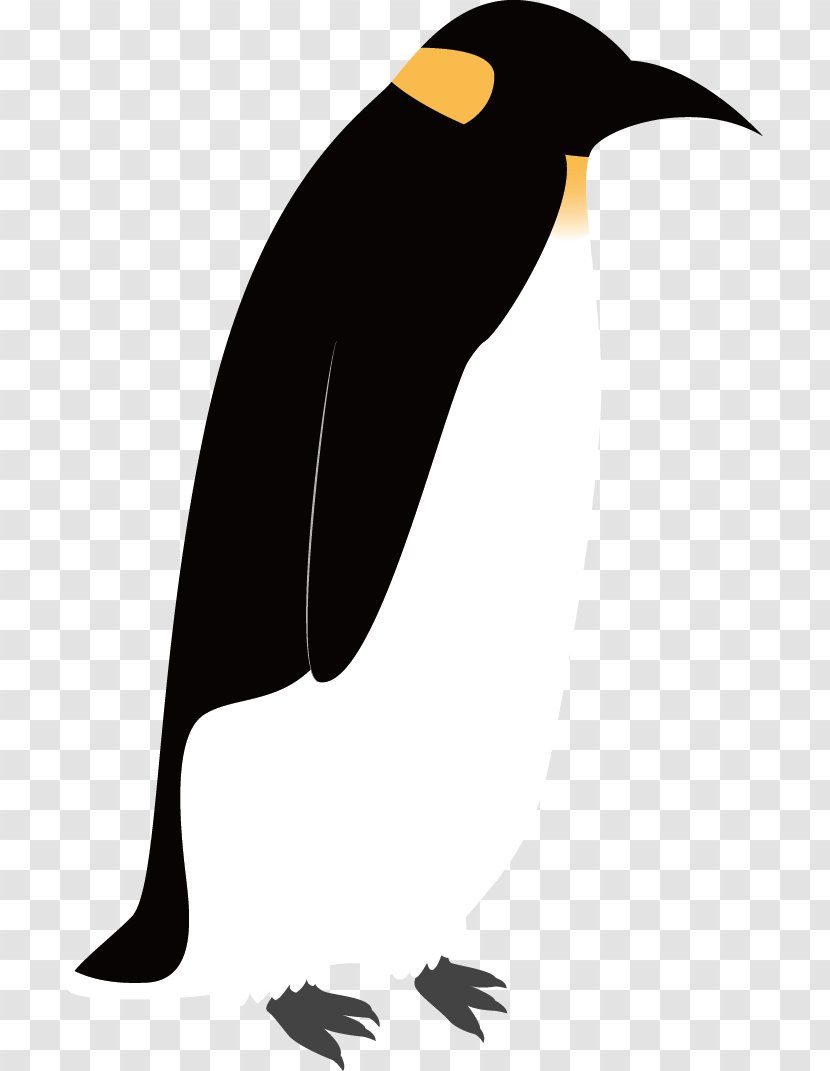 Emperor Penguin Bird Drawing - Black Transparent PNG