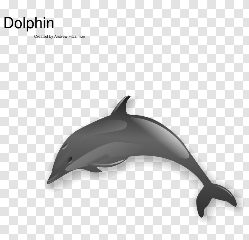 Spinner Dolphin Clip Art - Mammal - Black And White Pictures Transparent PNG