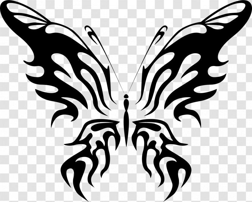 Butterfly Insect Line Art Clip - Membrane Winged - Ink Transparent PNG