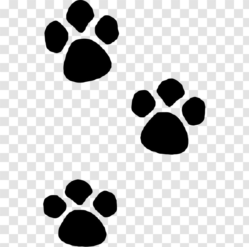 Cat Paw Drawing Dog Tiger - Photography Transparent PNG