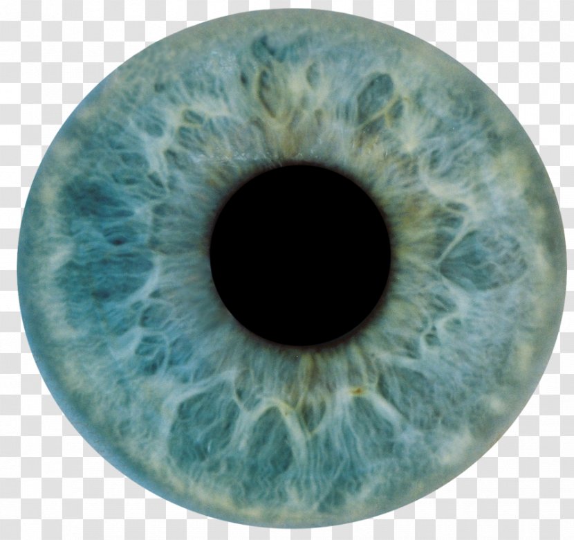 Human Eye Iris Anatomy Light - Frame Transparent PNG