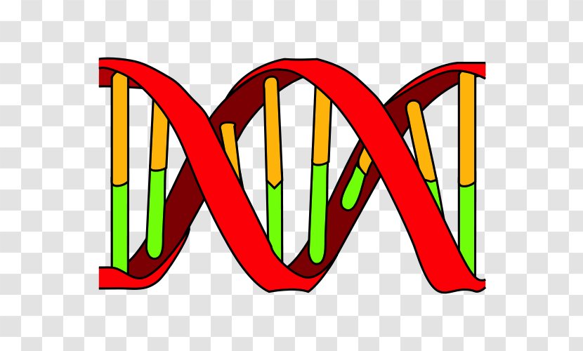 DNA Replication Polymerase Nucleic Acid Double Helix - Dna - Logo Transparent PNG