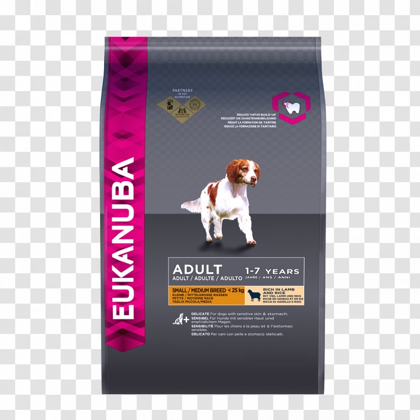 Puppy Newfoundland Dog Eukanuba Food Breed Transparent PNG