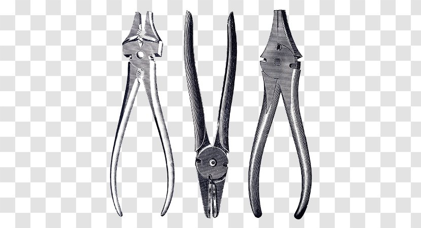 Tool Pliers Scissors - Architectural Engineering Transparent PNG