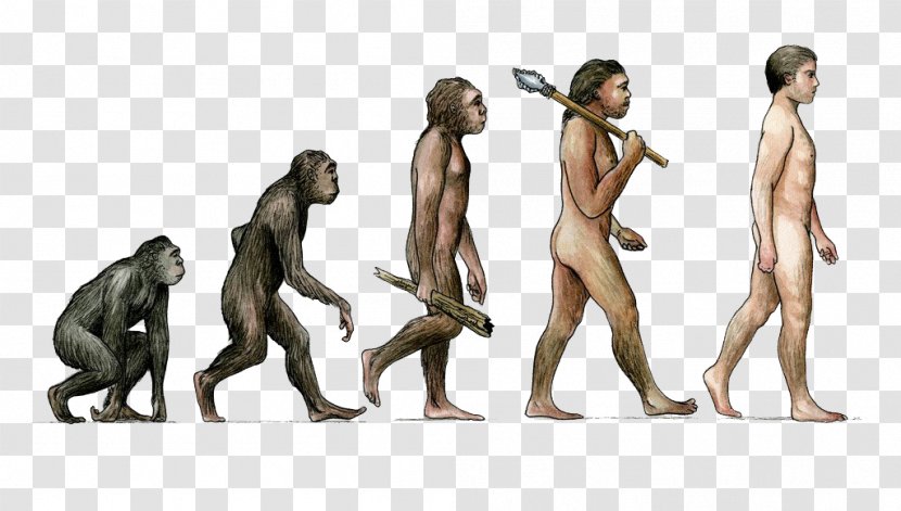 Earth Tobias Fxfcnke Homo Sapiens Evolution Male - Silhouette - Primitive Man Of Transparent PNG