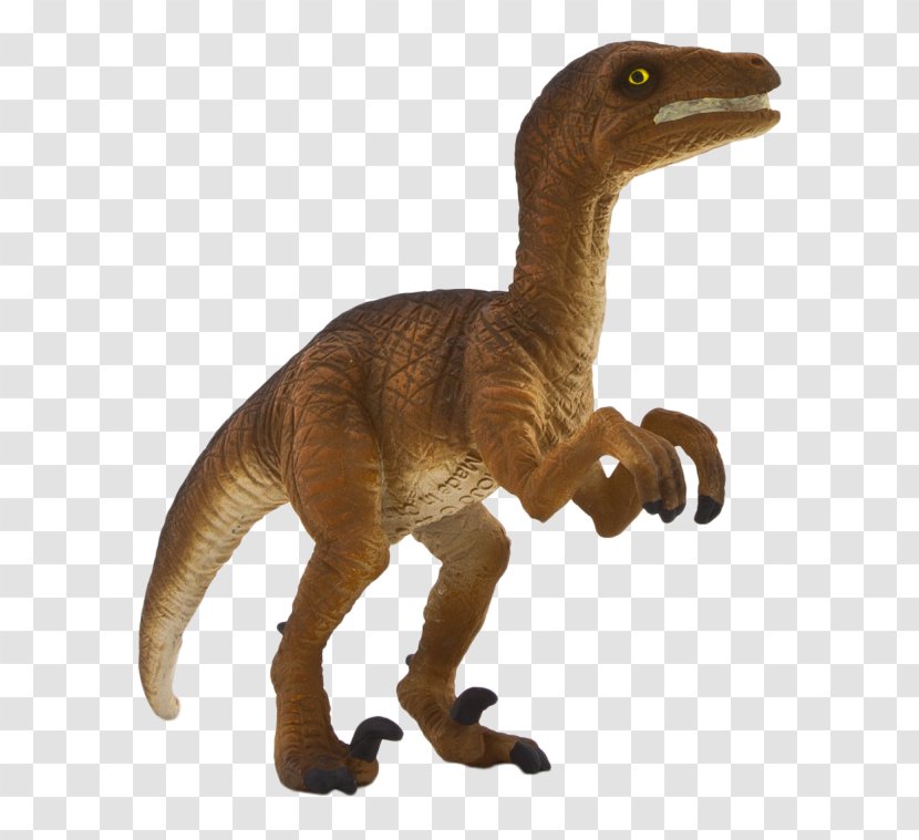 Velociraptor Tyrannosaurus Dinosaur Toy Triceratops - Action Figures Transparent PNG