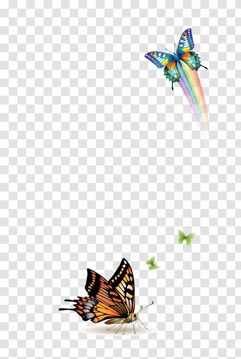 Butterfly Rainbow - Membrane Winged Insect Transparent PNG