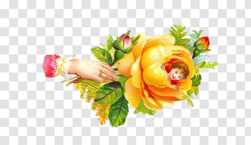 Clip Art Garden Roses Rose Family Image Design - Garnish - Fathers Day Copyspace Pixabay Transparent PNG