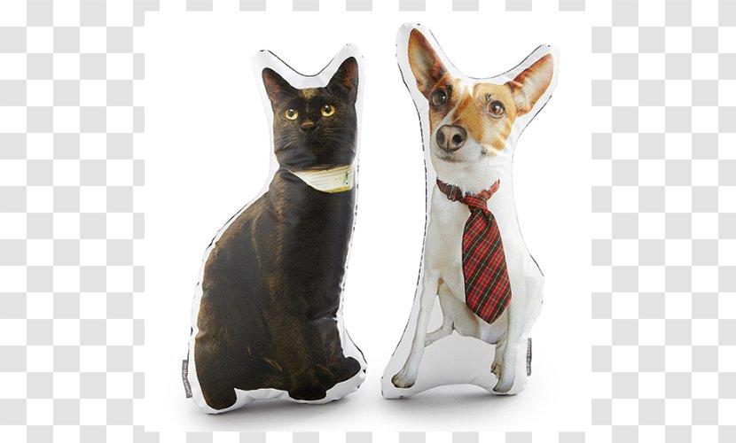 Throw Pillows Pet Cushion Gift - Kitten - Pillow Transparent PNG