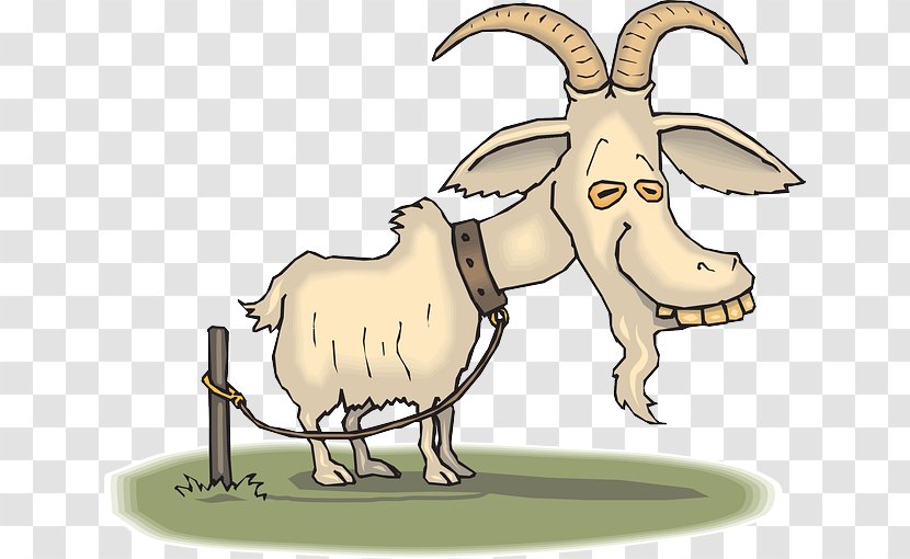 Boer Goat Sheep Cartoon Farming - Cow Family - TIRED Transparent PNG