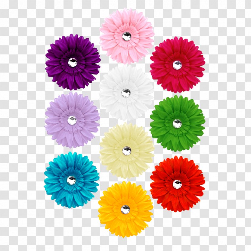 Transvaal Daisy Blog Cut Flowers Email Chrysanthemum - Flowering Plant - Pattern Transparent PNG